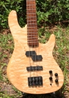 339 body front