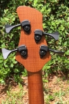 339 headstock rear