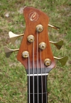 350 headstock front