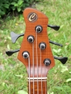 351 headstock front