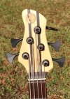 354 Headstock front.jpg