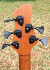364 Headstock rear.jpg