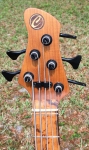 364 headstock front.jpg