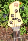 368 headstock front.jpg