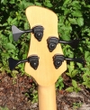 368 headstock rear.jpg