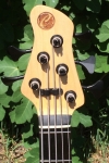 369 headstock front.jpg