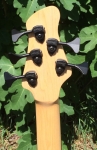 369 headstock rear.jpg