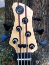 381 headstock front