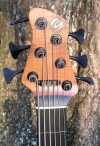 384 Headstock front