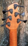 384 Headstock rear