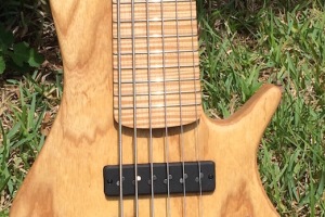 Clement #389 Felicia