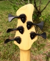 headstock-rear