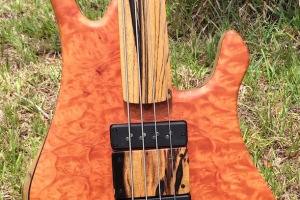 Clement #391 Phoenix