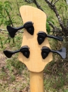 headstock-rear