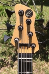392-headstock-front