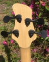 404 headstock rear