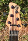 405 headstock front