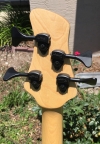 headstock rear