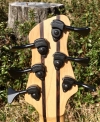 429 headstock rear