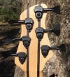 430 headstock rear