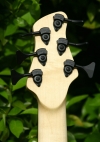 headstock back