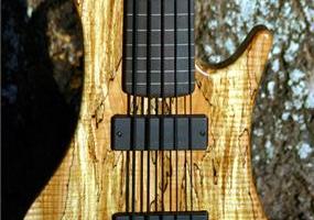 The Bass Shapes  Tom Clement Instruments