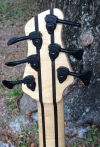 382 headstock rear